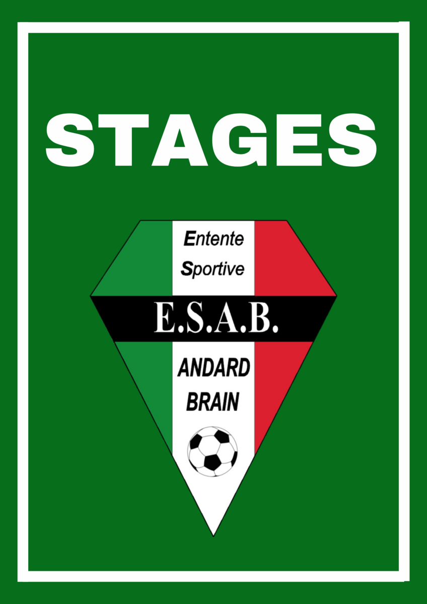 Retour sur les stages d'octobre