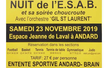 Nuit de l'ESAB 2019